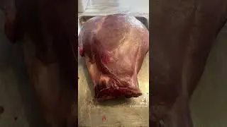 Prepping Venison Ham for the smoker