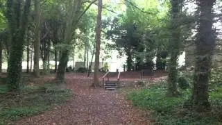Autumn in Jenkinstown park.....Music composed by Michael Ryan.......All rights reserved.