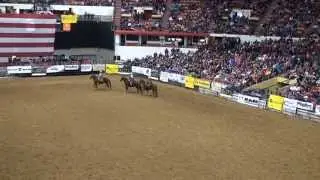 Midwest Horse Fair 2013, Peruvian Horse Demo #1