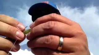 Drop shot with @quickbaits and @liquidmayhem_
