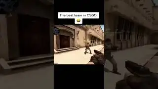 CS:GO The Best Team? Haha meme