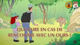 Que faire en cas de rencontre avec un ours ? D&eacute;couvrez les bonnes pratiques