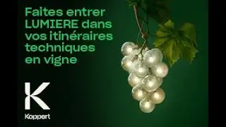 Lumiere, une solution 2-en-1 pour la protection de la vigne​