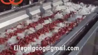 Industrial Date Processing Machinery
