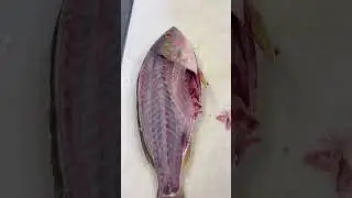 EASIEST TUTORIAL