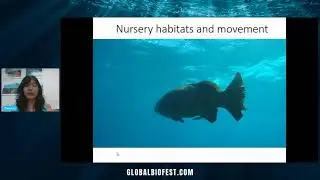 Cara Lin | Tropical Trifecta: Biodiversity in Connected Marine Ecosystems