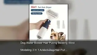 Dog Water Blower Hair Pulling Blowing Wind Modeling 3 In 1 Artifact Dog Hair Pulling Machine Ha
