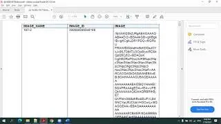 Oracle Cloud ERP- BIP Report - How to Display BLOB Image Dynamically