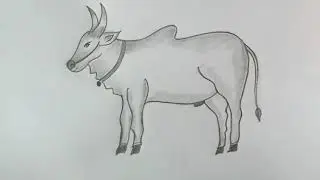 How to draw bull || Bull drawing || Art work