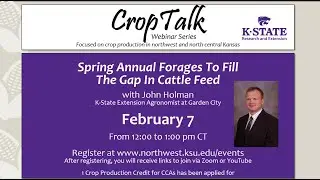 Spring Annual Forages to Fill the Gap in Cattle Feed