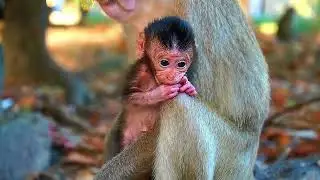 Plz Care More For Your Newborn BABY ELPIDA