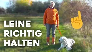 Wie halte ich eine Leine?