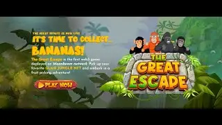 The Great Escape Game