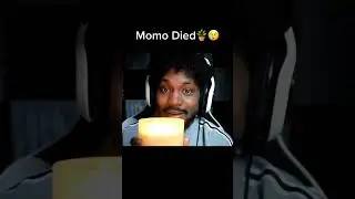 CoryxKenshin&rsquo;s plant Momo died 😔