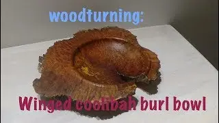 woodturning: small winged coolibah burl bowl