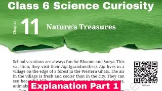 Class 6 Science Curiosity chapter 11 Nature's Treasures | Explanation Part 1