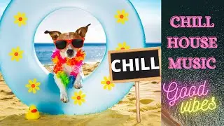 [Chill Out House Music] || [New & Best Deep House Music] || Relax and Enjoy