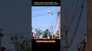How Hunger make Risky 🔥☠️😱😭 #hungry #animals #wildlife #goat #ytshorts #shorts