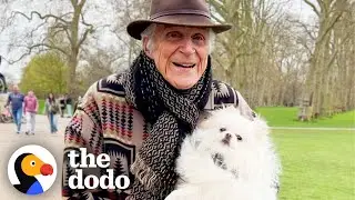 87-летний мужчина балует свою собаку, как принцессу | The Dodo