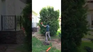 2018 05 17 16 47 54
