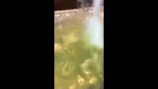 DIY How to make ectoplasm (Halloween Special)