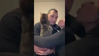 Cat robbed my man 😭😭