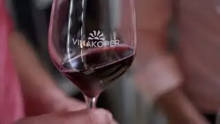 Koprski refo&scaron;k. Legenda Istrskih vin
