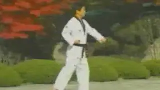 2. Taekwondo Poomsae Taegeuk I Jang (WTF)