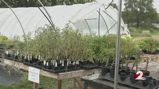 Carlisle farm accused of illegal operation, ordered to shut down