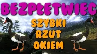 TheHunter: classic- Rzut okiem z Mańkiem na nowe Gęsi (Magpie goose)