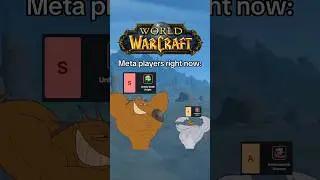 WoW Meta players right now #worldofwarcraft #warcraft #mmo #mmorpg #gaming #shorts