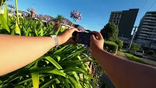 POV Afternoon Walk Routine & Phone Photography | Clayton, Melbourne, Australia