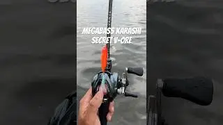 Megabass Karashi Respect Series 79 in Secret V-Ore #megabass #bassfishing #fishing #largemouthbass
