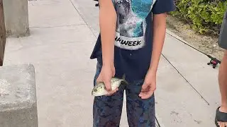 Fishing Battle Day 1- key west fishing