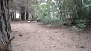 Airsoft Concepcion