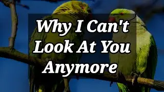 DM to DF today love messages for her 💌🤩|| why I can't look at you anymore...||