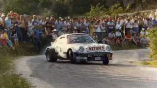 Rallyes peitos
