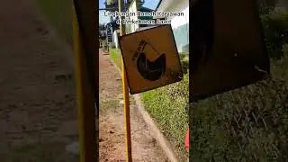 Perumahan Karyawan di Perkebunan Sawit Kalimantan