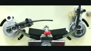 Orao, uma de nossas paix&otilde;es