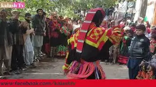 kalash people wedding program karkal bumburate , kalash people dance // kalash tv