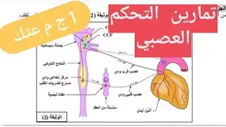 تمارين حول التحكم العصبي | سنة اولى ثانوي ج م ع تك