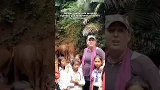 🐘&iexcl;Conozcan a los propios lugares que los protegen - ELIE en el Elephant Valley Project!🐘