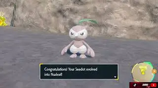 Seedot Evolves Into Nuzleaf Pok&eacute;mon Violet The Teal Mask DLC