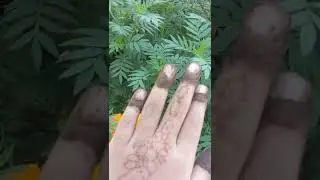 Happy choti diwali#diwali season on
