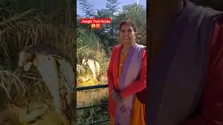 JUNGLE TRAIL NOIDA #jungletrail #noidapark #junglepark #wasterecycling #learning