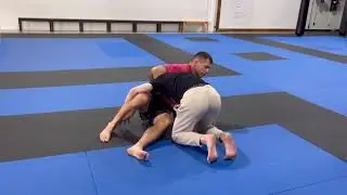 Mounted Guillotine. Points of control plus cool entry.