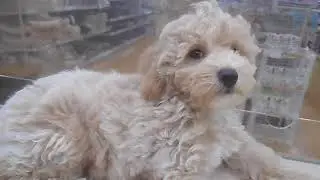 DSCN1111