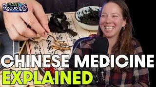 From Chemotherapy at 15 to Doctor of Chinese Medicine - Dr. Chloe Weber