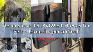Recensione del MidWest Homes for Pets - Cancello per animali domestici alto 73,6 cm, struttura in gr