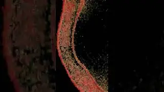 @AQUA MANE @dahsum  @sevendahsplit  @k4stet #antigenre #trap #metal #tame